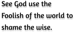 See God use the Foolish of the world to  shame the wise.