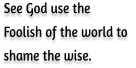 See God use the Foolish of the world to  shame the wise.